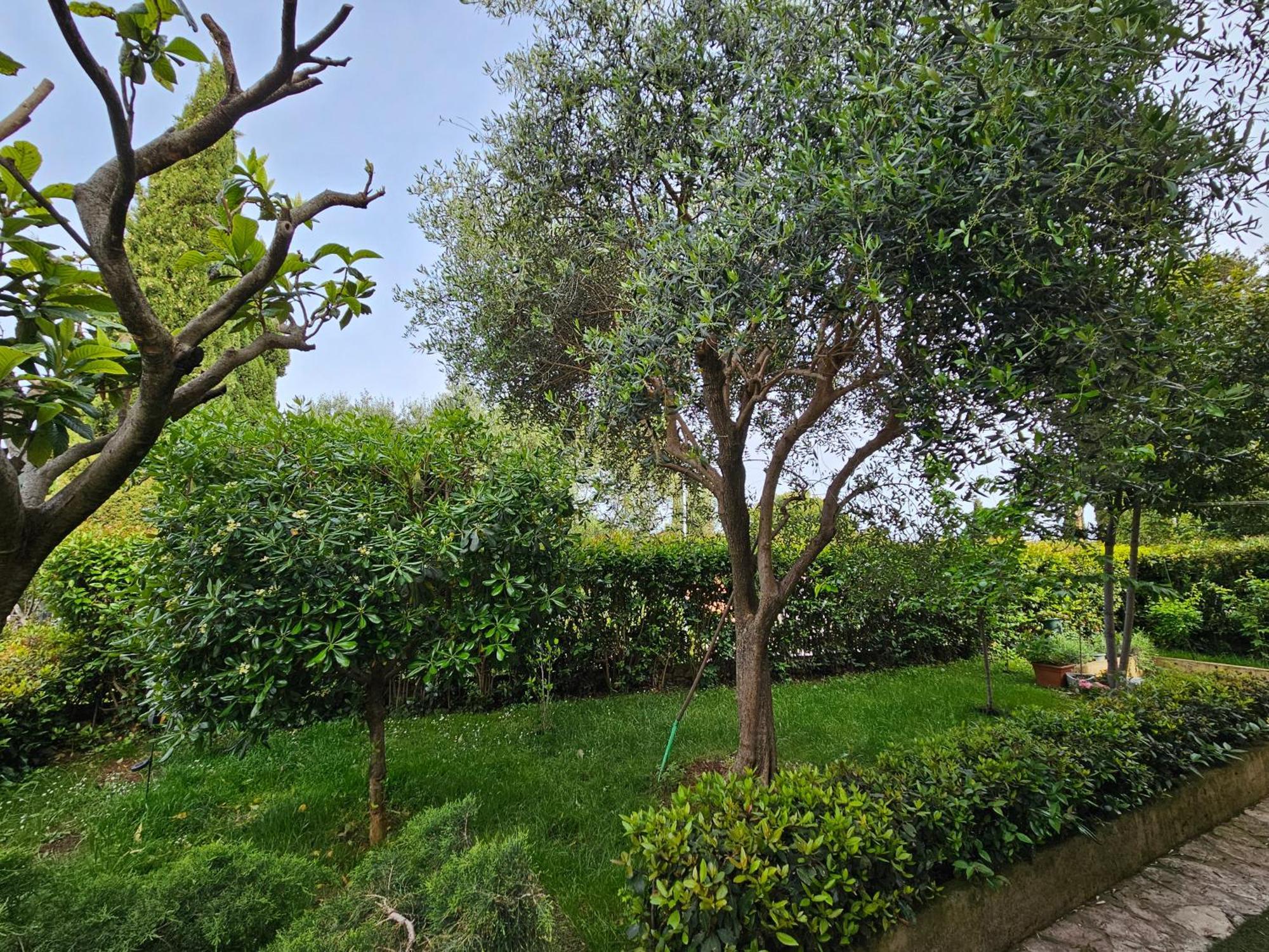 Zita - Heart Of Rovinj, Apartment For 2, Free Parking, 2Min Center, 5Min Beach Walk Extérieur photo